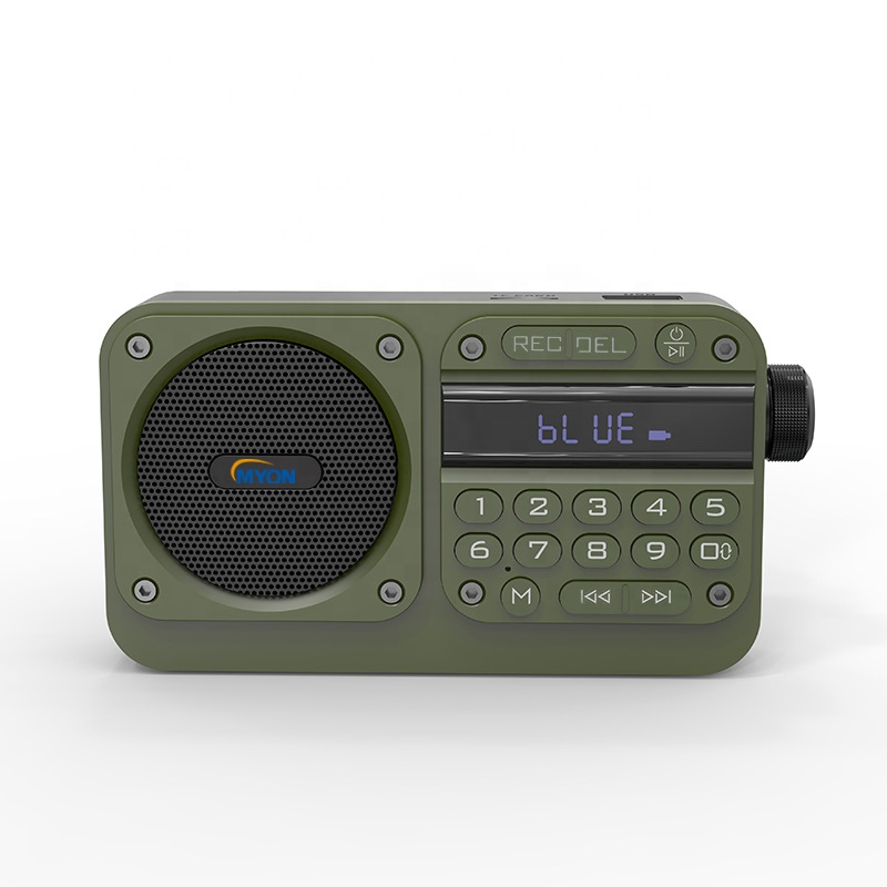 Multifunctional USB TF Earphone Stereo Small Mini Size Home Radio Bluetooth FM Portable Radio numerique With Screen