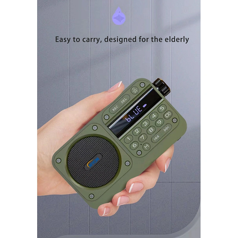 Multifunctional USB TF Earphone Stereo Small Mini Size Home Radio Bluetooth FM Portable Radio numerique With Screen