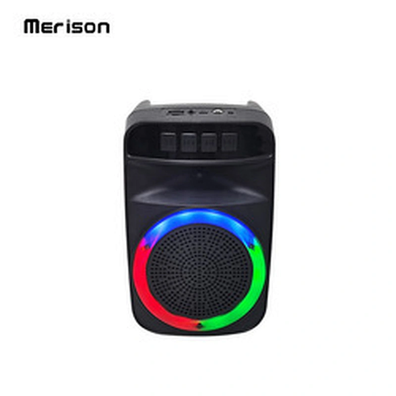 professional audio garden 4 inch 5w portable outdoor wireless karaoke music bluetooth speaker with FM radio