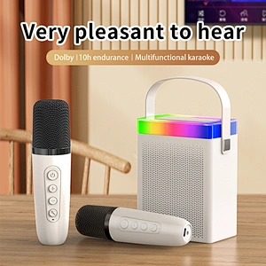 Cheap Price Multifunctional Karaoke Small Portable Music Wireless BT Speaker with Microphone