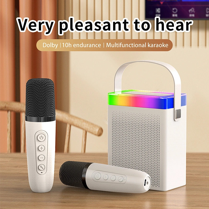 Cheap Price Multifunctional Karaoke Small Portable Music Wireless BT Speaker with Microphone