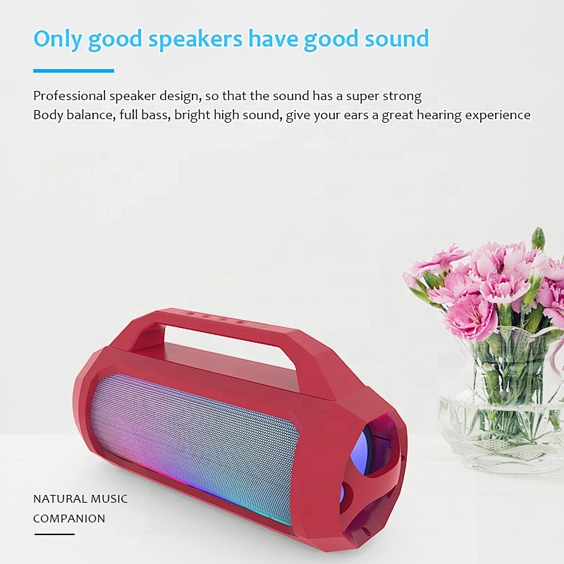 Multi color lights meirende karaoke handle dj bluetooth speakers with mic karaoke