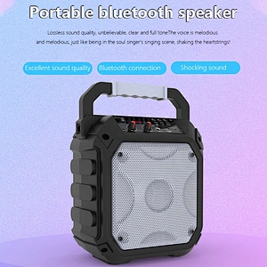 6.5 inch karaoke microphone outdoor portable dj power subwoofer box bluetooth speaker
