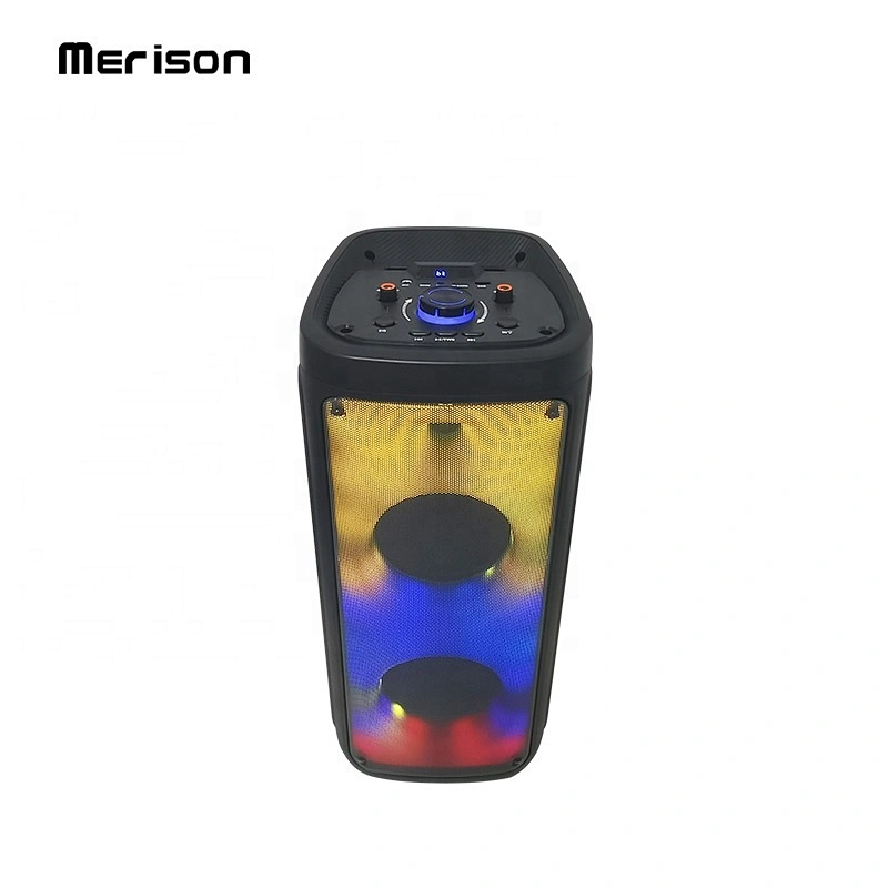 ibastek Double 8 inch 30W Home Karaoke DJ Party Woofer Subwoofer Bluetooth Speaker Light With Wireless Mic