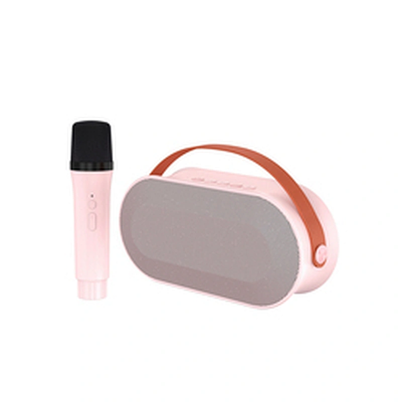 New Handheld BT Audio Portable Rechargeable Small Home KTV Children Colorful LED Light Wireless Karaoke Speaker with Dual Mic