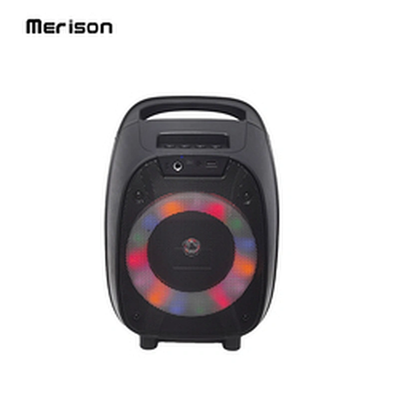 portable 6 inch 8W full range party outdoor karaoke bt wireless speaker with fm tws