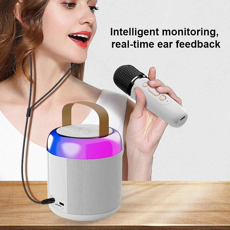 Manufacturers Sell Portable BT Wireless Mini Stereo Speakers with Microphone Support for USB TF card AUX