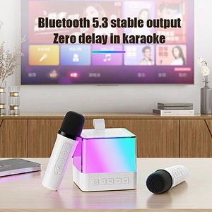 2024 New Wireless Microphone Portable Colorful LED Light Home Party KTV Hifi Bass Karaoke Speaker