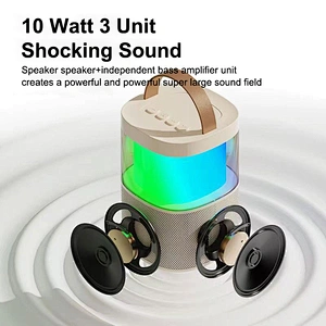 Merison Portable Indoor Outdoor Party Speaker with Built-In Lights Splashproof Design Stereo Bluetooth Speakers