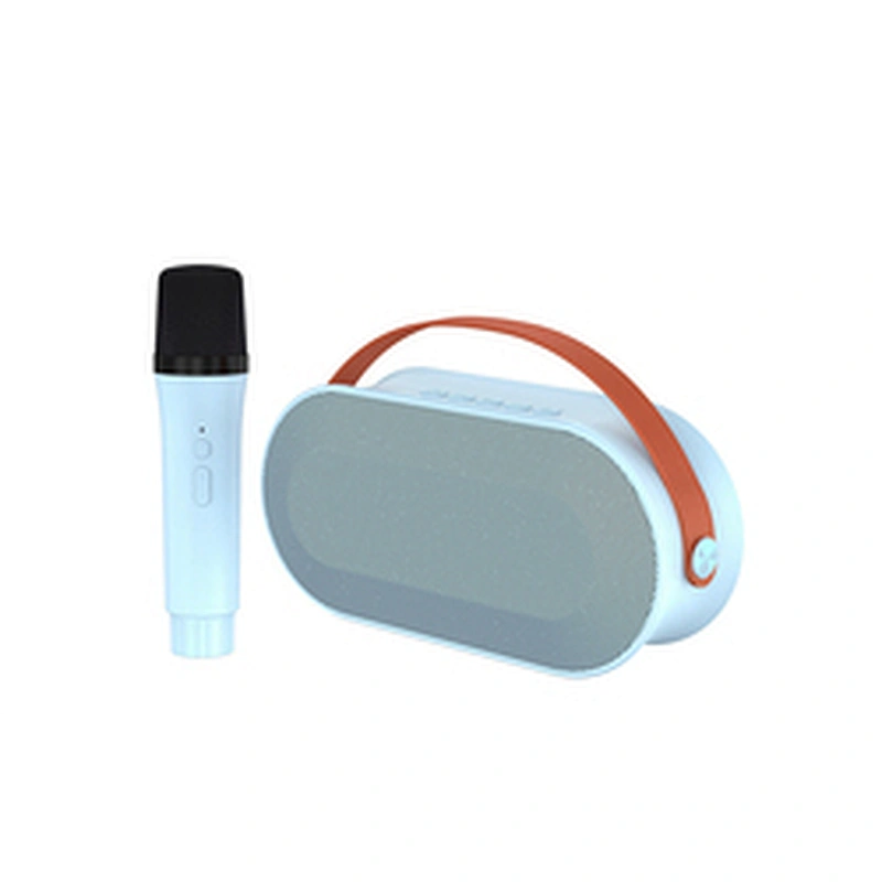 New Handheld BT Audio Portable Rechargeable Small Home KTV Children Colorful LED Light Wireless Karaoke Speaker with Dual Mic