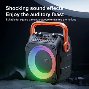 Custom Logo Portable Speaker Large Capacity Battery RGB Lights Wireless Karaoke Subwoofer Speaker With Wireless Microphone