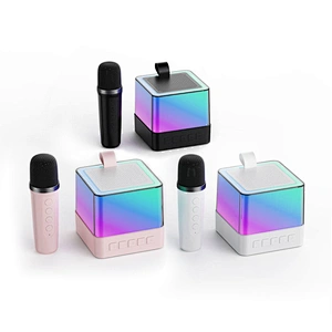 2024 New Wireless Microphone Portable Colorful LED Light Home Party KTV Hifi Bass Karaoke Speaker