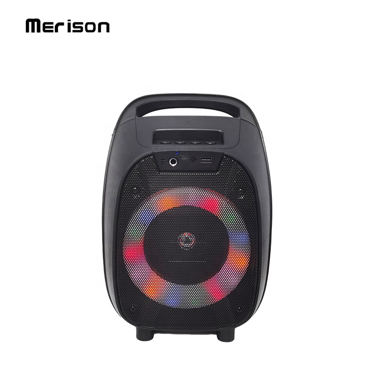 portable 6 inch 8W full range party outdoor karaoke bt wireless speaker with fm tws