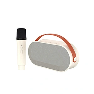 New Handheld BT Audio Portable Rechargeable Small Home KTV Children Colorful LED Light Wireless Karaoke Speaker with Dual Mic