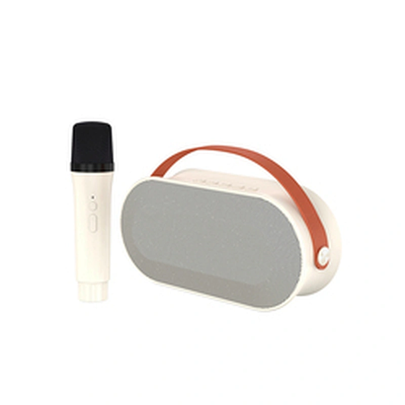 New Handheld BT Audio Portable Rechargeable Small Home KTV Children Colorful LED Light Wireless Karaoke Speaker with Dual Mic