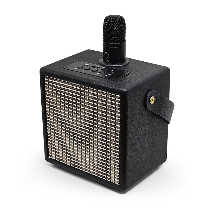 High Quality Karaoke Wireless Microphone Conference Speaker with BT For Home Ktv Amplified Sound Box