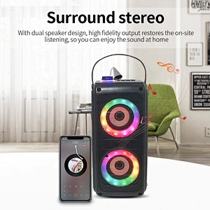 Manufacturer 20 watt handsfree caixa de som bluetooth dj Karaoke altavoz bluetooth portable speaker wireless with handle
