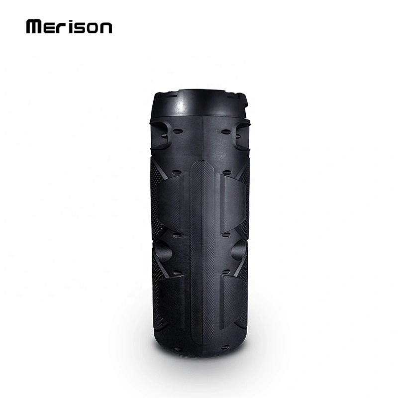ibastek logo portable 30w 6.5 inch 4 ohm karaoke subwoofer wireless bluetooth speaker with tws fm radio