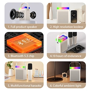 Cheap Price Multifunctional Karaoke Small Portable Music Wireless BT Speaker with Microphone