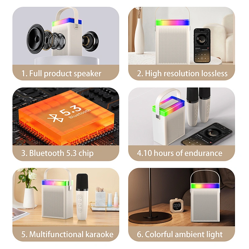Cheap Price Multifunctional Karaoke Small Portable Music Wireless BT Speaker with Microphone