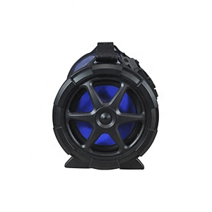 Outdoor Portable Wireless Speaker with USB/TF /FM/AUX IN/Karaoke/Color Changing Lights