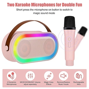New Handheld BT Audio Portable Rechargeable Small Home KTV Children Colorful LED Light Wireless Karaoke Speaker with Dual Mic