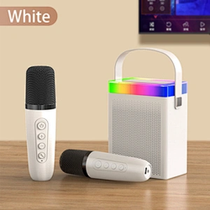 Cheap Price Multifunctional Karaoke Small Portable Music Wireless BT Speaker with Microphone