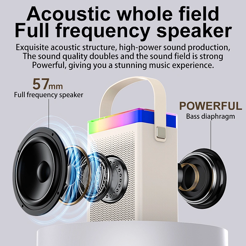 Cheap Price Multifunctional Karaoke Small Portable Music Wireless BT Speaker with Microphone