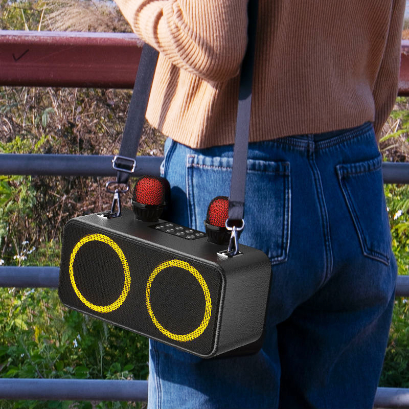 Factory Custom Selling Double Microphone Karaoke Family Outdoor Party Bar Wireless Subwoofer Speaker Bluetooth 20W