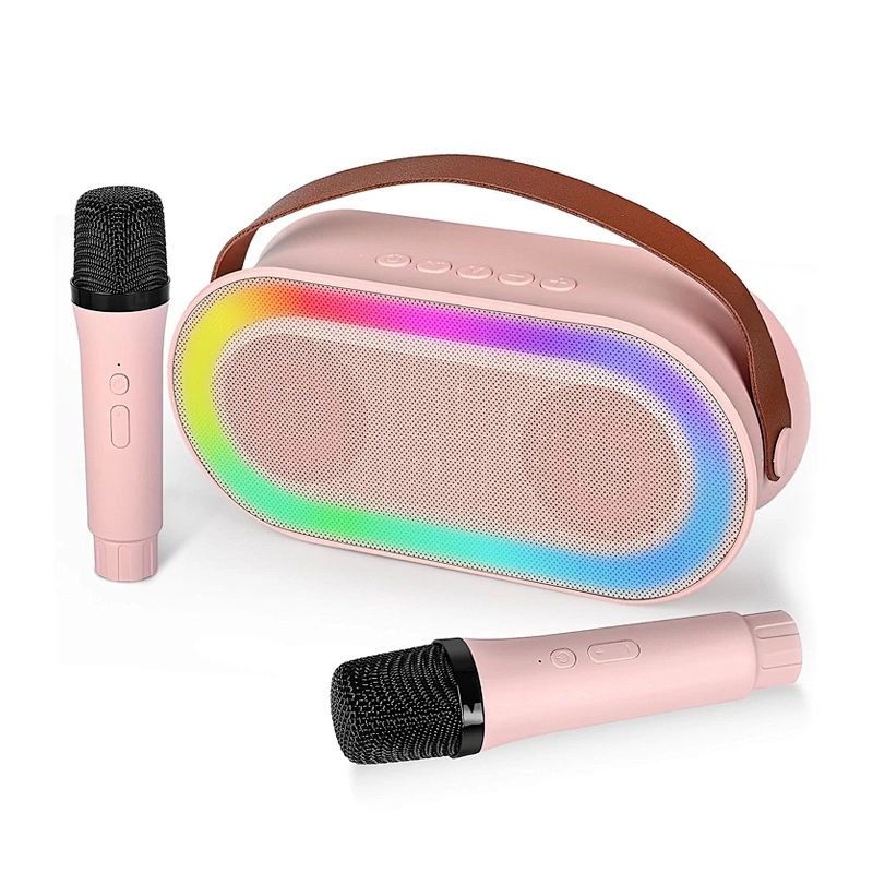 New Handheld BT Audio Portable Rechargeable Small Home KTV Children Colorful LED Light Wireless Karaoke Speaker with Dual Mic