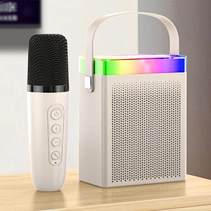 Cheap Price Multifunctional Karaoke Small Portable Music Wireless BT Speaker with Microphone