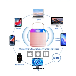 Manufacturers Sell Portable BT Wireless Mini Stereo Speakers with Microphone Support for USB TF card AUX