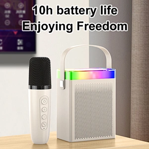 Cheap Price Multifunctional Karaoke Small Portable Music Wireless BT Speaker with Microphone