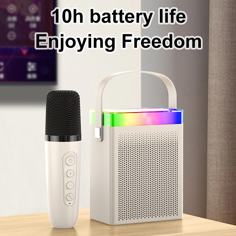 Cheap Price Multifunctional Karaoke Small Portable Music Wireless BT Speaker with Microphone