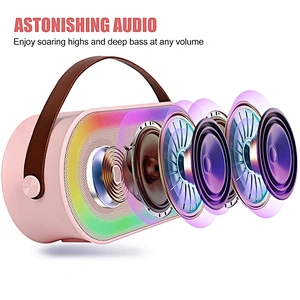New Handheld BT Audio Portable Rechargeable Small Home KTV Children Colorful LED Light Wireless Karaoke Speaker with Dual Mic
