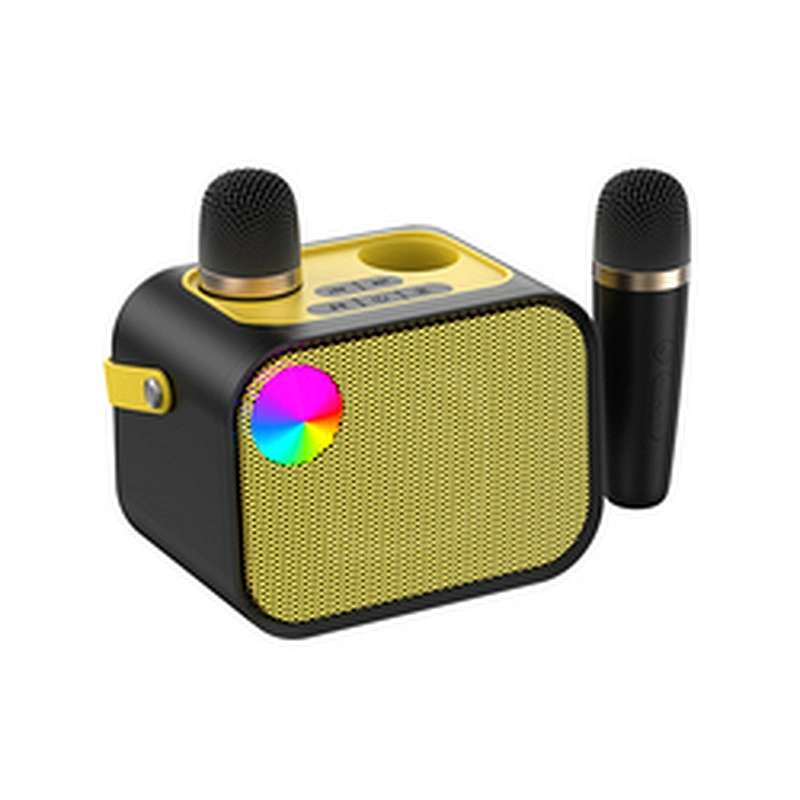 2024 New Rechargeable Outdoor Small Dual Wireless Handheld Karaoke Mic Kids Microphone For TV And Phone