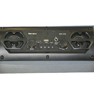 Outdoor Portable Wireless Speaker with USB/TF /FM/AUX IN/Karaoke/Color Changing Lights