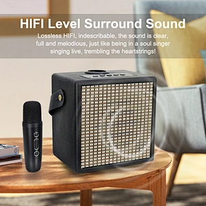 High Quality Karaoke Wireless Microphone Conference Speaker with BT For Home Ktv Amplified Sound Box