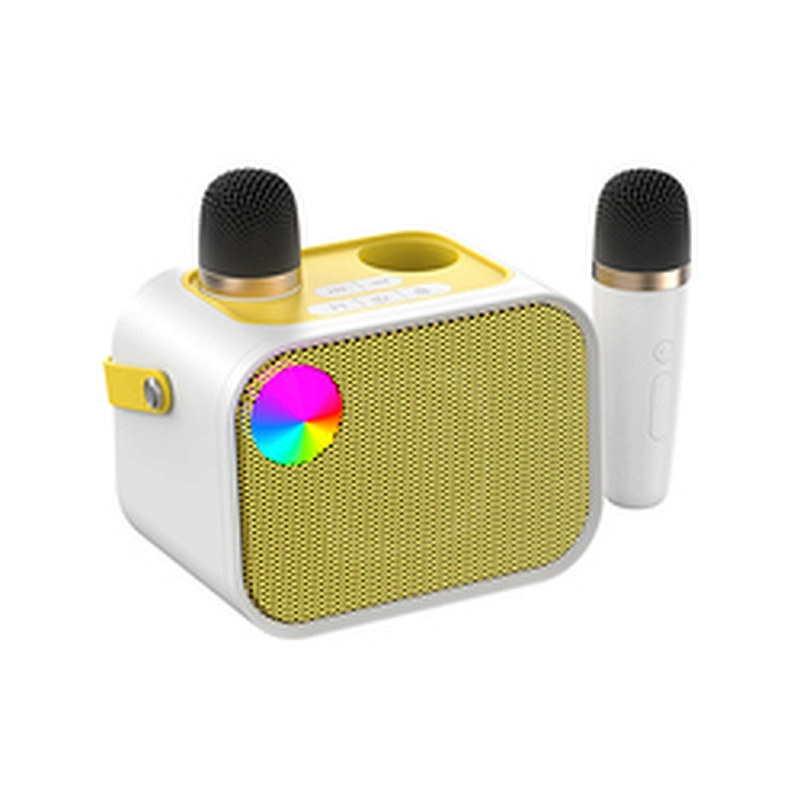 2024 New Rechargeable Outdoor Small Dual Wireless Handheld Karaoke Mic Kids Microphone For TV And Phone