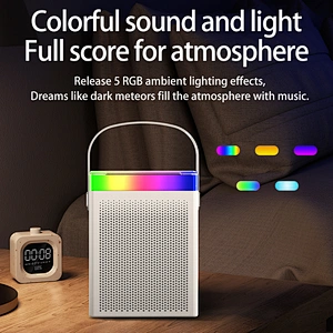Cheap Price Multifunctional Karaoke Small Portable Music Wireless BT Speaker with Microphone