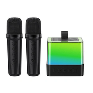 2024 New Wireless Microphone Portable Colorful LED Light Home Party KTV Hifi Bass Karaoke Speaker