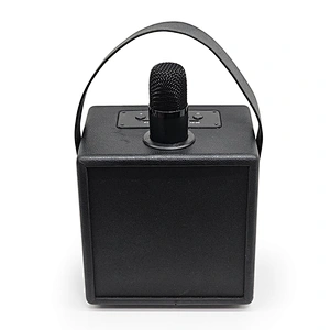 High Quality Karaoke Wireless Microphone Conference Speaker with BT For Home Ktv Amplified Sound Box