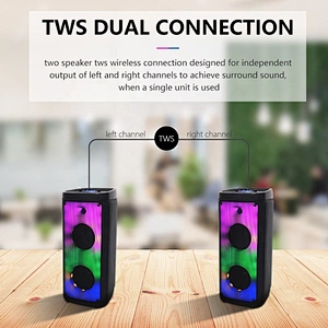 ibastek Double 8 inch 30W Home Karaoke DJ Party Woofer Subwoofer Bluetooth Speaker Light With Wireless Mic