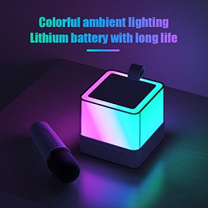 2024 New Wireless Microphone Portable Colorful LED Light Home Party KTV Hifi Bass Karaoke Speaker