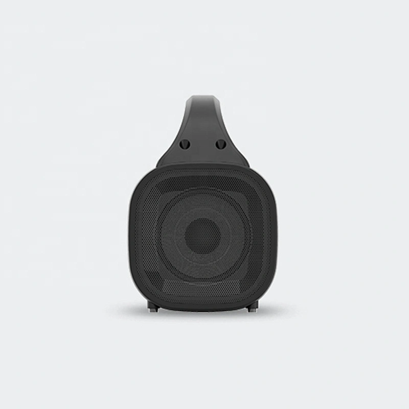 Typical series new bluetooth speaker portable outdoor cylinder bluetooth speaker with karaoke function
