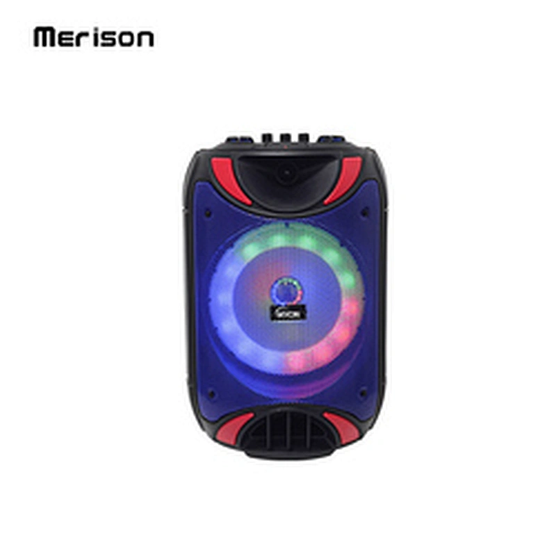 Black 8 inches Bocinas Karaoke Bluetooth Wireless MP3 Subwoofer Portable Trolley Speaker For Party Fun