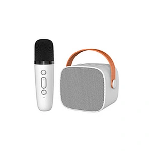 Mini Portable Microphone Audio integrated Microphone Home singing Karaoke Family Wireless BT Outdoor Portable Speaker
