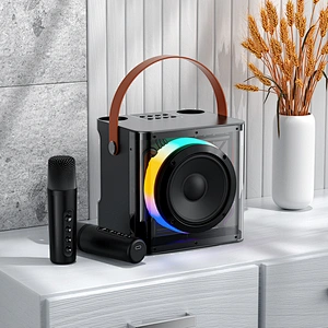 High Power Disco Light Portable Wireless Speaker Outdoor Karaoke Party Led Light Speaker With 2pcs Microphone
