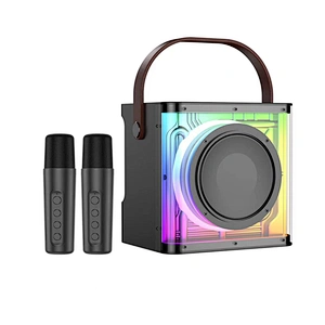 High Power Disco Light Portable Wireless Speaker Outdoor Karaoke Party Led Light Speaker With 2pcs Microphone