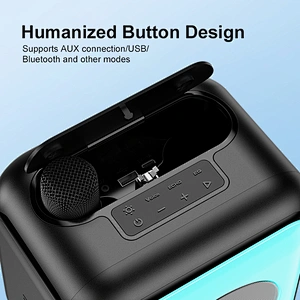New Exclusive Model Colourful Lighting Karaoke Subwoofer Bluetooth Speaker with Built-in Wireless Dual Microphones